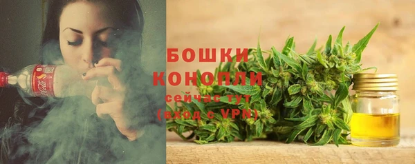 каннабис Новокубанск
