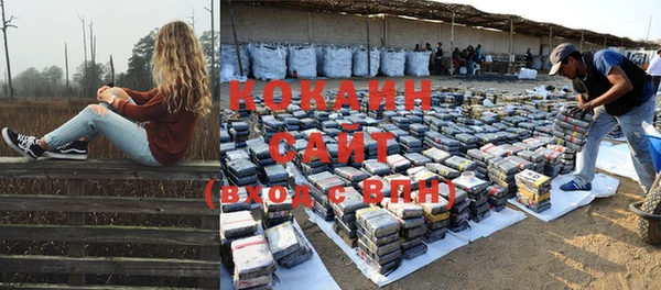 каннабис Новокубанск