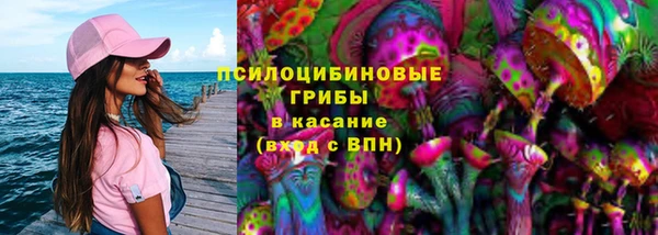 гидропоника Новодвинск